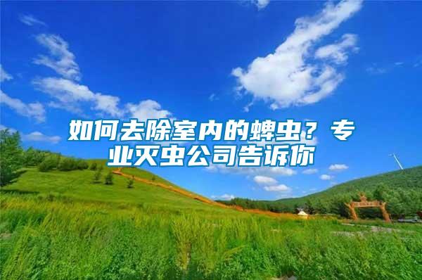 如何去除室內的蜱蟲？專業(yè)滅蟲公司告訴你