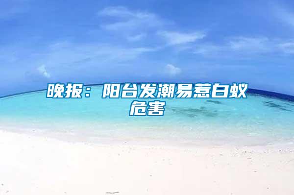 晚報(bào)：陽臺發(fā)潮易惹白蟻危害