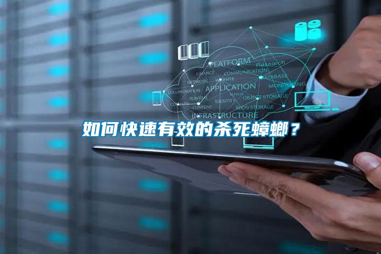如何快速有效的殺死蟑螂？