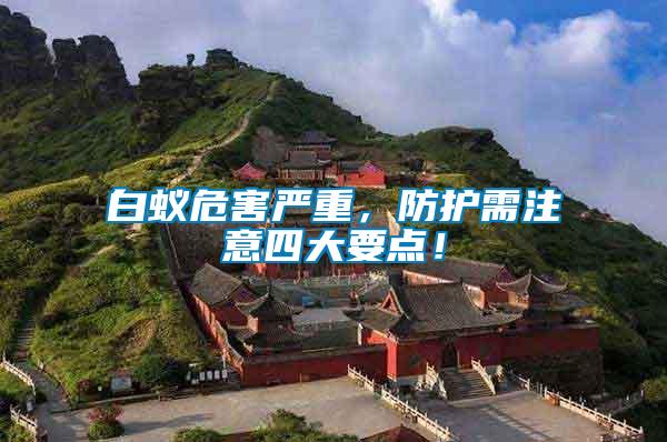 白蟻危害嚴重，防護需注意四大要點！