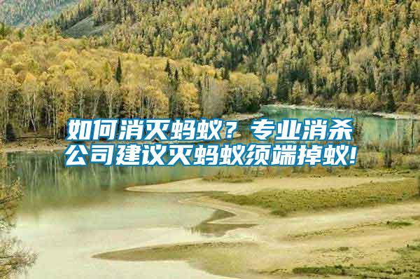 如何消滅螞蟻？專業(yè)消殺公司建議滅螞蟻須端掉蟻!