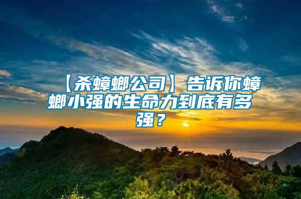 【殺蟑螂公司】告訴你蟑螂小強(qiáng)的生命力到底有多強(qiáng)？
