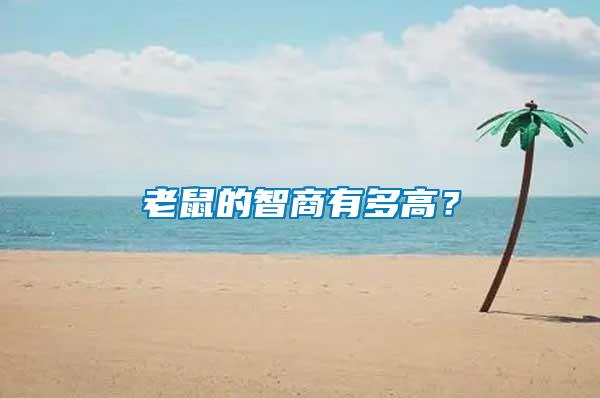 老鼠的智商有多高？