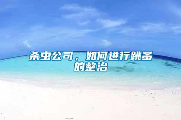 殺蟲公司，如何進行跳蚤的整治