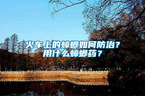 火車上的蟑螂如何防治？用什么蟑螂藥？