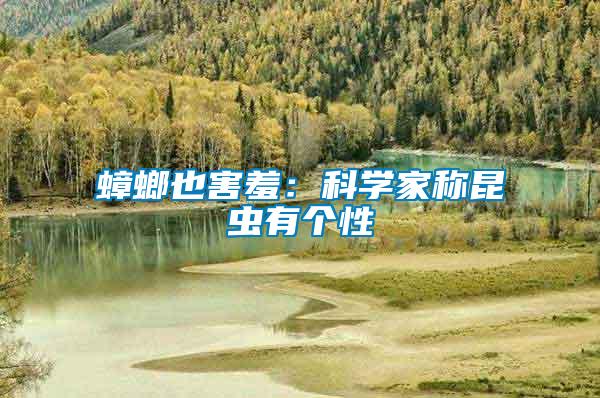 蟑螂也害羞：科學(xué)家稱昆蟲有個(gè)性