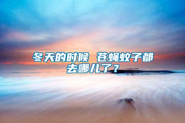 冬天的時(shí)候 蒼蠅蚊子都去哪兒了？