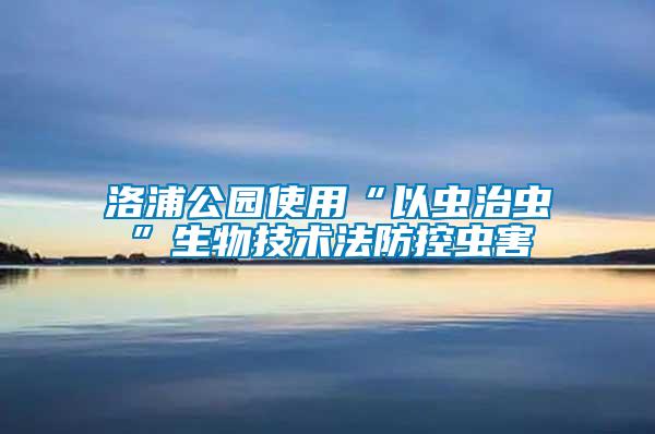 洛浦公園使用“以蟲(chóng)治蟲(chóng)”生物技術(shù)法防控蟲(chóng)害