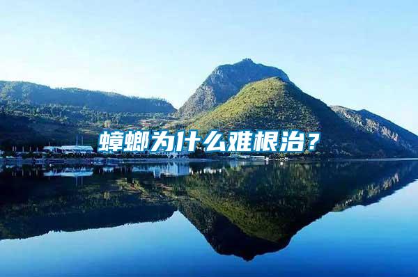蟑螂為什么難根治？