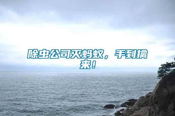 除蟲(chóng)公司滅螞蟻，手到擒來(lái)！