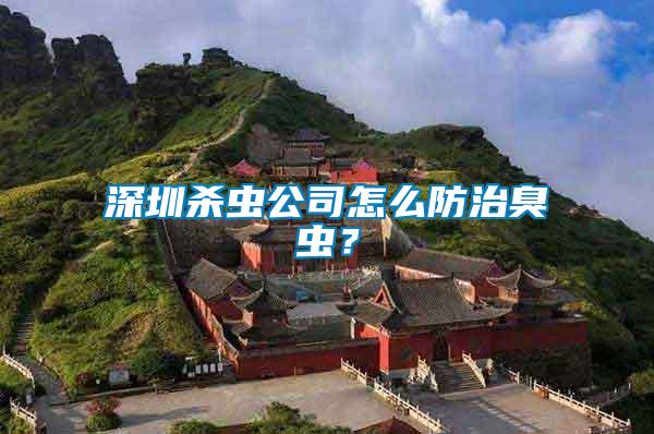 深圳殺蟲公司怎么防治臭蟲？
