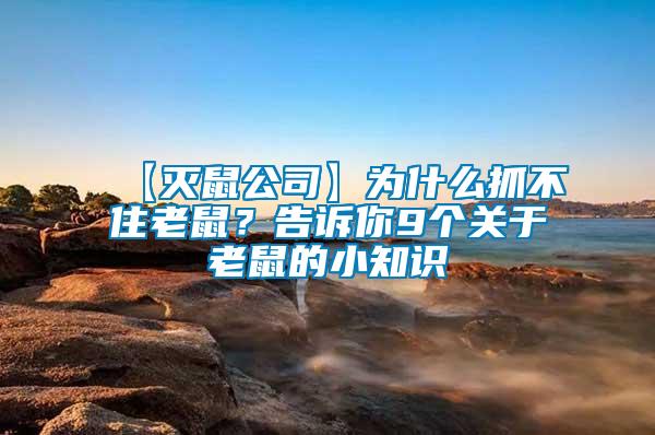 【滅鼠公司】為什么抓不住老鼠？告訴你9個(gè)關(guān)于老鼠的小知識(shí)