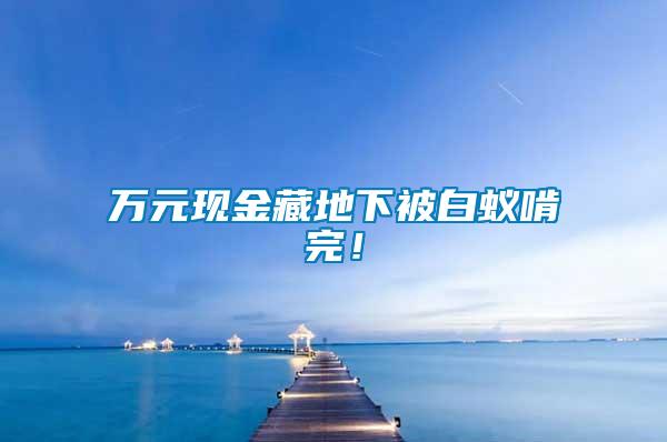 萬元現(xiàn)金藏地下被白蟻啃完！