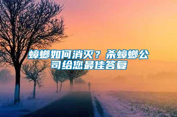蟑螂如何消滅？殺蟑螂公司給您最佳答復(fù)