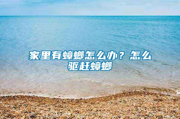 家里有蟑螂怎么辦？怎么驅(qū)趕蟑螂