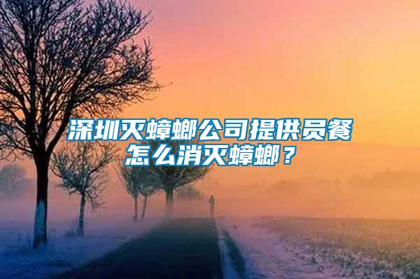 深圳滅蟑螂公司提供員餐怎么消滅蟑螂？