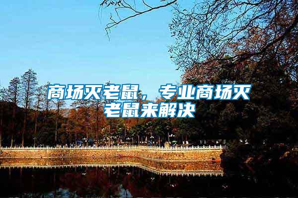 商場(chǎng)滅老鼠，專業(yè)商場(chǎng)滅老鼠來解決