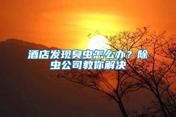 酒店發(fā)現(xiàn)臭蟲怎么辦？除蟲公司教你解決