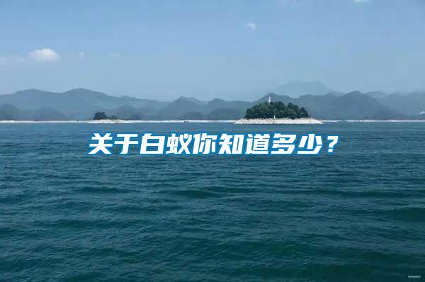 關(guān)于白蟻你知道多少？