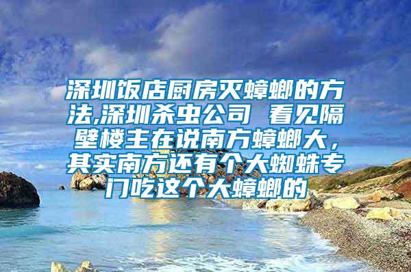 深圳飯店廚房滅蟑螂的方法,深圳殺蟲公司 看見隔壁樓主在說南方蟑螂大，其實南方還有個大蜘蛛專門吃這個大蟑螂的
