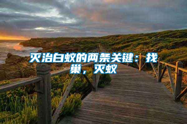 滅治白蟻的兩條關(guān)鍵：找巢，滅蟻