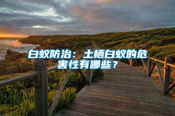白蟻防治：土棲白蟻的危害性有哪些？