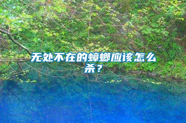 無(wú)處不在的蟑螂應(yīng)該怎么殺？