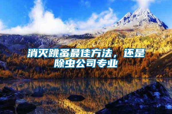消滅跳蚤最佳方法，還是除蟲公司專業(yè)