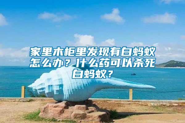 家里木柜里發(fā)現(xiàn)有白螞蟻怎么辦？什么藥可以殺死白螞蟻？