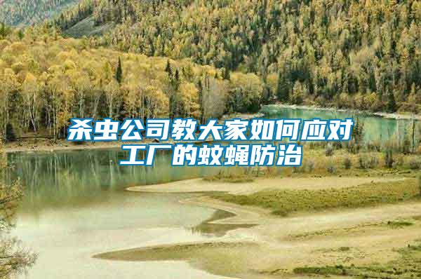 殺蟲公司教大家如何應(yīng)對工廠的蚊蠅防治