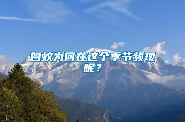 白蟻為何在這個季節(jié)頻現(xiàn)呢？