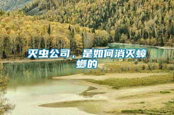 滅蟲公司，是如何消滅蟑螂的