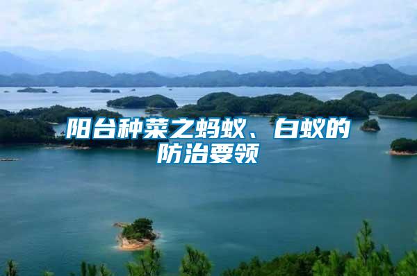 陽臺種菜之螞蟻、白蟻的防治要領(lǐng)