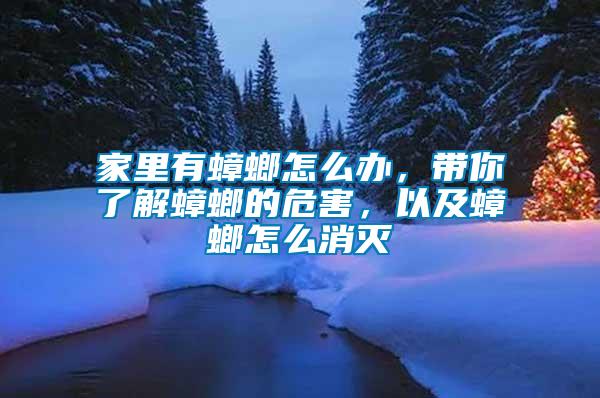 家里有蟑螂怎么辦，帶你了解蟑螂的危害，以及蟑螂怎么消滅