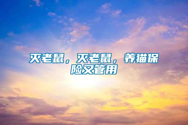 滅老鼠，滅老鼠，養(yǎng)貓保險又管用