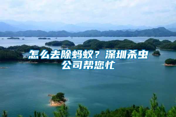 怎么去除螞蟻？深圳殺蟲公司幫您忙