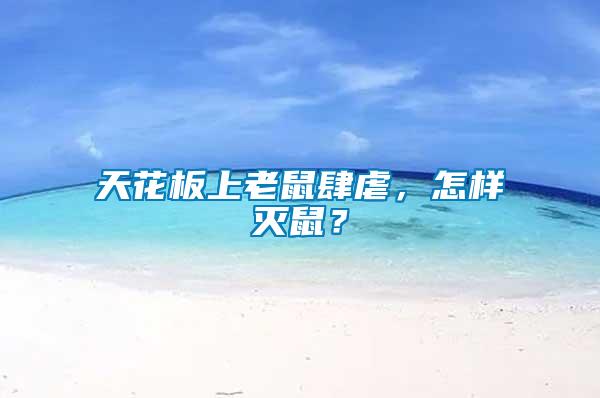 天花板上老鼠肆虐，怎樣滅鼠？