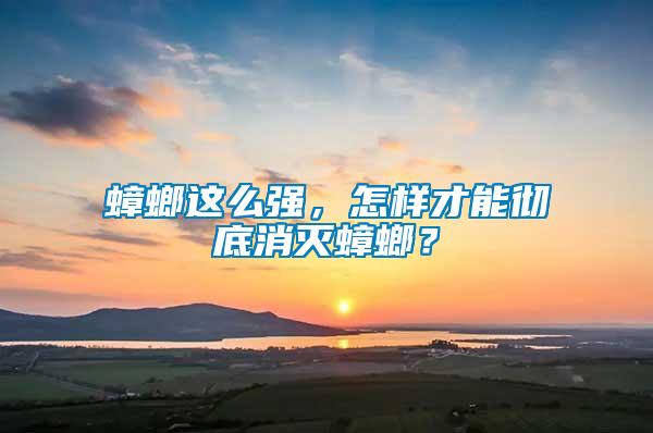 蟑螂這么強(qiáng)，怎樣才能徹底消滅蟑螂？