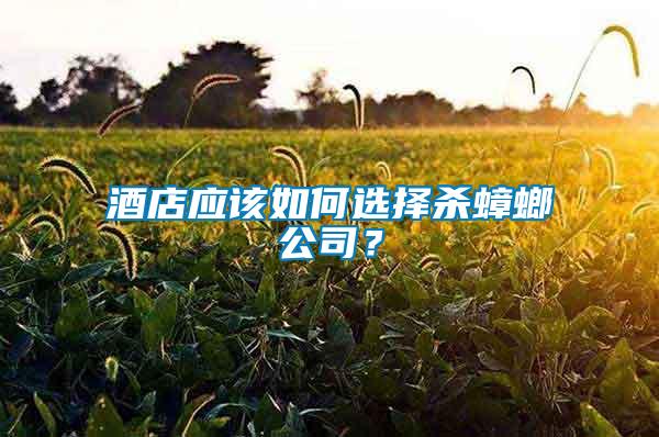 酒店應(yīng)該如何選擇殺蟑螂公司？