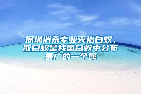 深圳消殺專業(yè)滅治白蟻，散白蟻是我國白蟻中分布最廣的一個屬