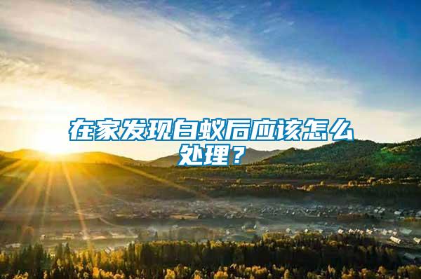在家發(fā)現(xiàn)白蟻后應(yīng)該怎么處理？