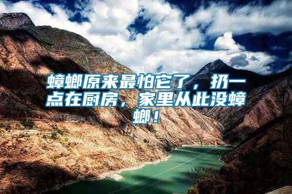 蟑螂原來最怕它了，扔一點(diǎn)在廚房，家里從此沒蟑螂！