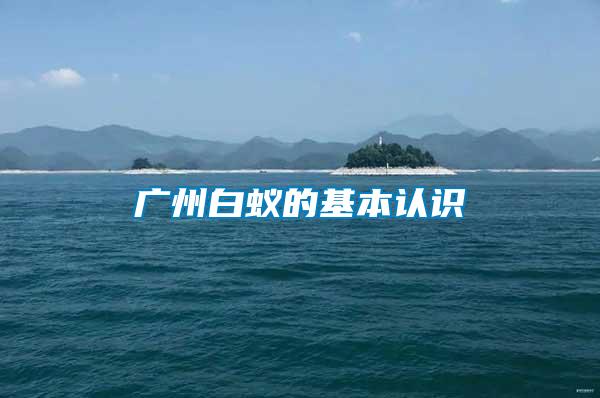 廣州白蟻的基本認(rèn)識(shí)