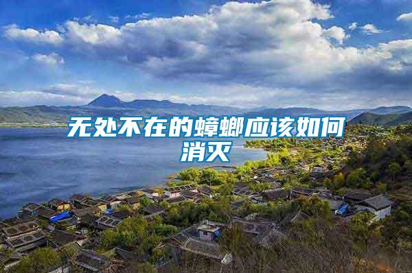 無(wú)處不在的蟑螂應(yīng)該如何消滅