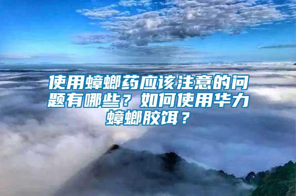 使用蟑螂藥應該注意的問題有哪些？如何使用華力蟑螂膠餌？