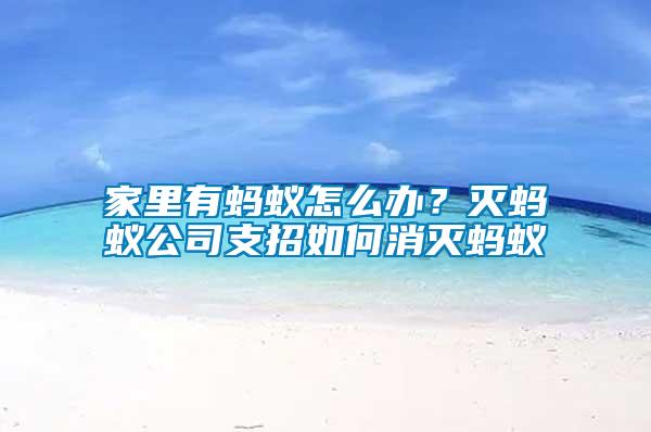 家里有螞蟻怎么辦？滅螞蟻公司支招如何消滅螞蟻