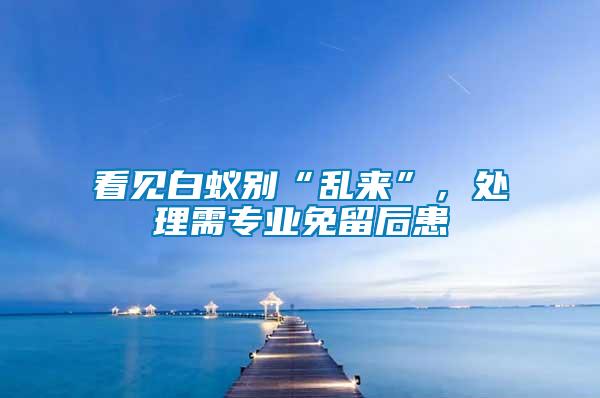 看見白蟻別“亂來”，處理需專業(yè)免留后患
