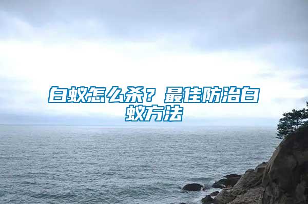 白蟻怎么殺？最佳防治白蟻方法