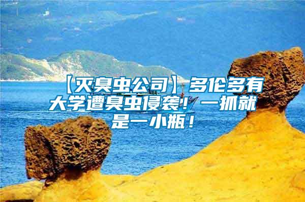 【滅臭蟲公司】多倫多有大學(xué)遭臭蟲侵襲！一抓就是一小瓶！