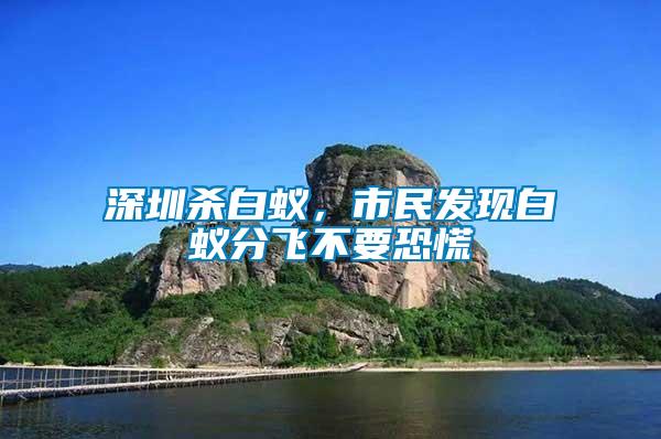 深圳殺白蟻，市民發(fā)現(xiàn)白蟻分飛不要恐慌
